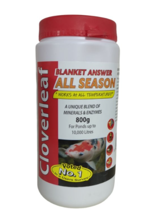 800g Blanket Answer All Season