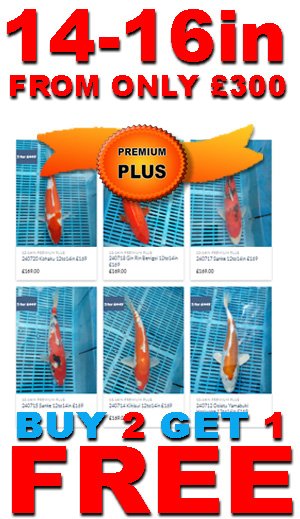 14-16in Premium Plus