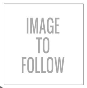 11/2" PVC-U SOCKET S/S