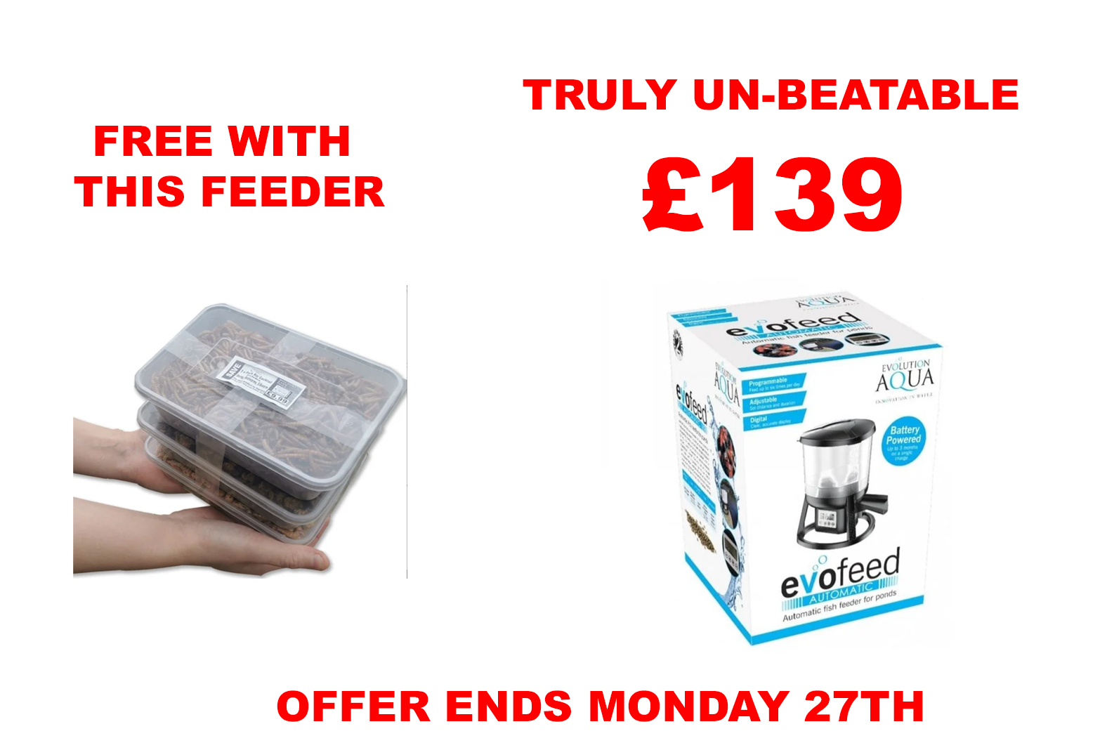 evoFeed Automatic OFFER